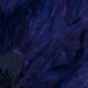 Tile[30:-10]