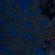 Tile[30:3]