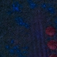 Tile[30:6]