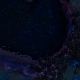 Tile[31:0]