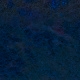 Tile[31:10]