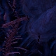 Tile[32:-4]