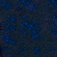 Tile[32:5]