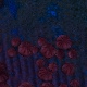 Tile[32:6]