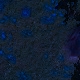 Tile[34:8]