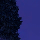 Tile[35:-12]