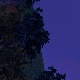 Tile[35:-11]