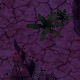 Tile[-17:-7]