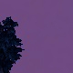 Tile[38:3]