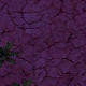 Tile[-16:-21]