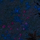 Tile[-15:1]