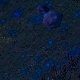 Tile[-15:8]