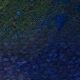 Tile[-15:11]