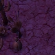 Tile[-14:-19]