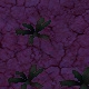 Tile[-13:-6]