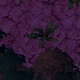 Tile[-13:-5]